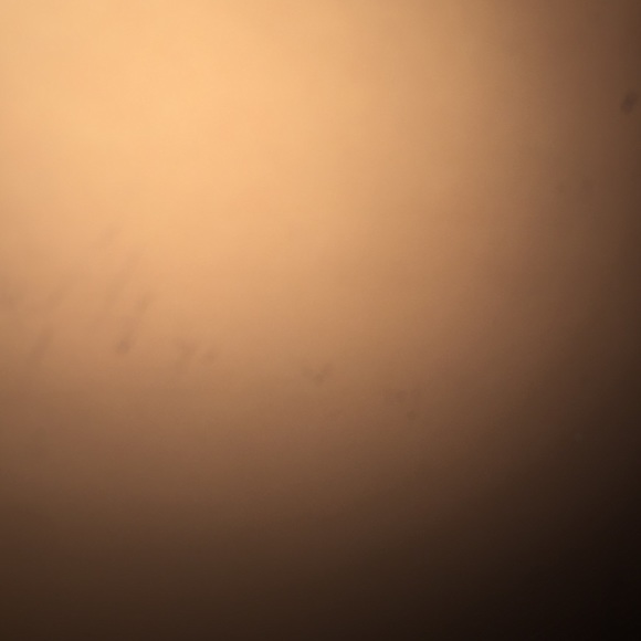 Profile Picture of Mike Ginley (@mikegins) on Poshmark