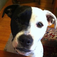 Profile Picture of Dorothea Phillips (@dorothea-phillips-2) on Quora