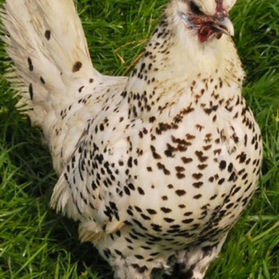 Profile Picture of Lara Beck (@LaraBeck0) on Twitter