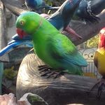 Profile Picture of Goutom Paul (@rimi.paul.77715869) on Instagram