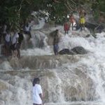 Profile Picture of Shawn Harry (@shawn_harryd1) on Instagram