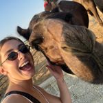 Profile Picture of Candice Curlier (@candicecurlier) on Instagram