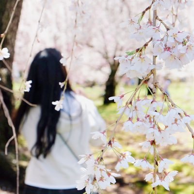 Profile Picture of Shiyi Chen (@ShiyiChen20) on Twitter