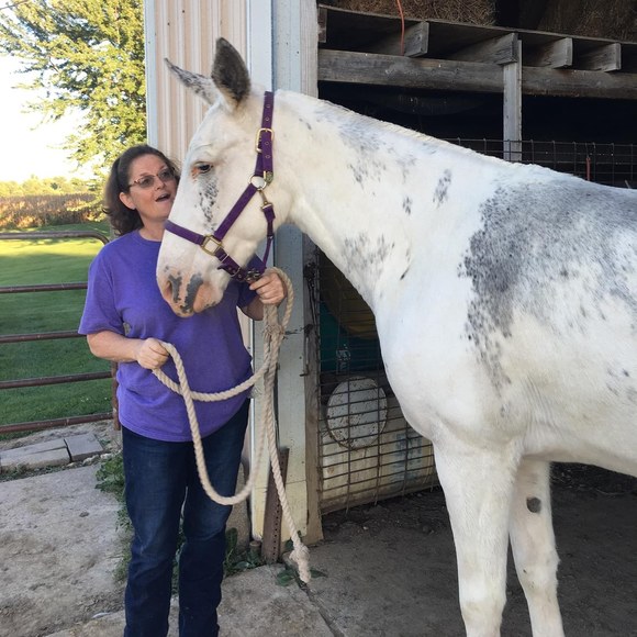 Profile Picture of Stacy Phillis (@phillis83) on Poshmark