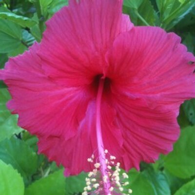 Profile Picture of Tim Lau (@timlau1601) on Twitter