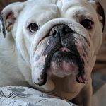 Profile Picture of Gen.Mark Canbel (@ge.markcanbel) on Instagram