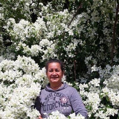 Profile Picture of Maria Eunice De Sousa Pinto (@MariaEuniceDe14) on Twitter