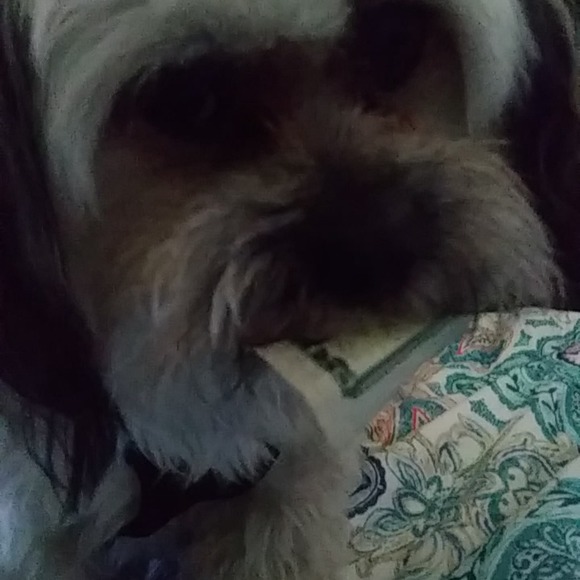 Profile Picture of Erica Stilphen (@estilphen) on Poshmark