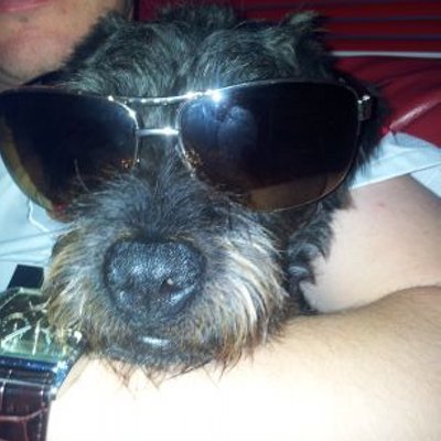 Profile Picture of Hayley McKay (@HayleyMcKay09) on Twitter
