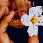 Profile Picture of Cheyenne Crosby 📷✨ (@photos_by_chy) on Instagram