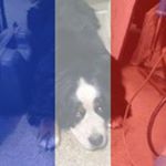 Profile Picture of Jean Claude Perrier (@jeanclaudeperrier) on Instagram