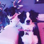 Profile Picture of Paul O'Rourke (@paulor2012) on Instagram