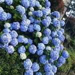 Profile Picture of Jonghyun Cho (@jonghyun156) on Instagram