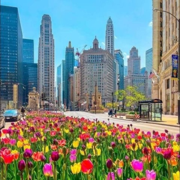 Profile Picture of Hari Antonioli (@hariantonioli) on Poshmark