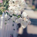 Profile Picture of Clare Montgomery (@claremontgomery) on Instagram