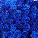 Profile Picture of Etsuko Yamamoto (@etsuko4731yamamoto) on Instagram