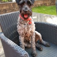 Profile Picture of John Kerr (@JohnKer80478006) on Twitter