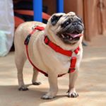 Profile Picture of Joseph Puig (@erpugcito) on Instagram