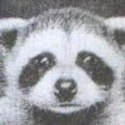 Profile Picture of David Malki (@siref1973) on Twitter