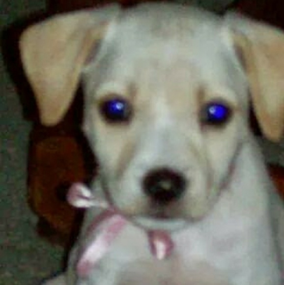 Profile Picture of Brenda Gurganious (@waynesgirl777) on Poshmark