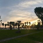 Profile Picture of Andrea Scime (@ascime12) on Instagram