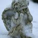 Profile Picture of Isabel Graham (@isabelgraham40) on Pinterest