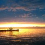 Erick Alpizar - Instagram Profile Picture of Erick Alpizar (@erickalp) on Instagram