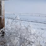 Profile Picture of Kris Schiffman (@Kris-Schiffman) on Facebook