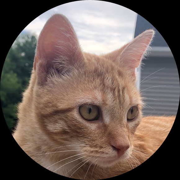 Profile Picture of Kylie Delagrange (@k_dela) on Poshmark