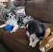 Profile Picture of James Schweigert (@james.schweigert.12) on Facebook