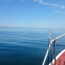 Profile Picture of William Owen (@williamjowen) on Twitter