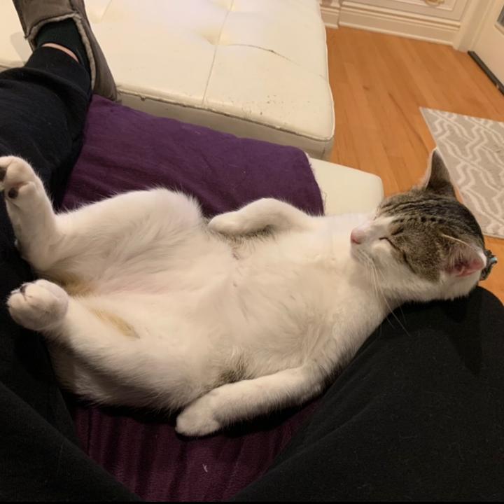 Profile Picture of jandrewhokenson (@@jandrewhoker) on Tiktok