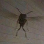 benjámin - Instagram Profile Picture of benjámin (@ben.uhrich2nd) on Instagram