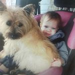 Profile Picture of Joseph Minnick (@tenwoodcycles) on Instagram