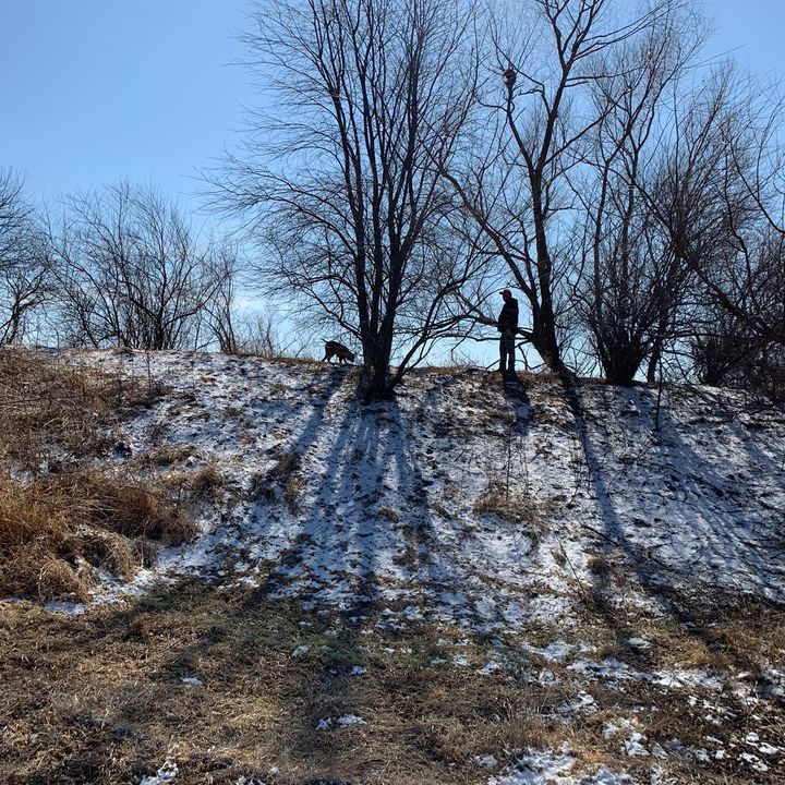 Profile Picture of Todd Otten (@toddotten) on Tiktok