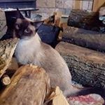 Profile Picture of Marty Marshall (@marshallmande) on Instagram