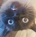 Profile Picture of Cindi Dilloway Duby (@cindi.duby) on Facebook
