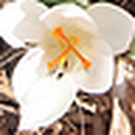 Profile Picture of Les24601mis (@les24601mis) on Flickr