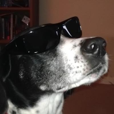 Profile Picture of John Schaub (@Feederbird) on Twitter