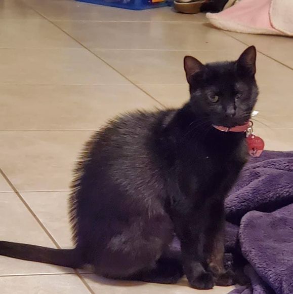 Profile Picture of Amanda Raymond nieves (@sweetheartcntry) on Poshmark