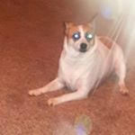 Profile Picture of Mark Damon Easter (@easterfilms) on Instagram