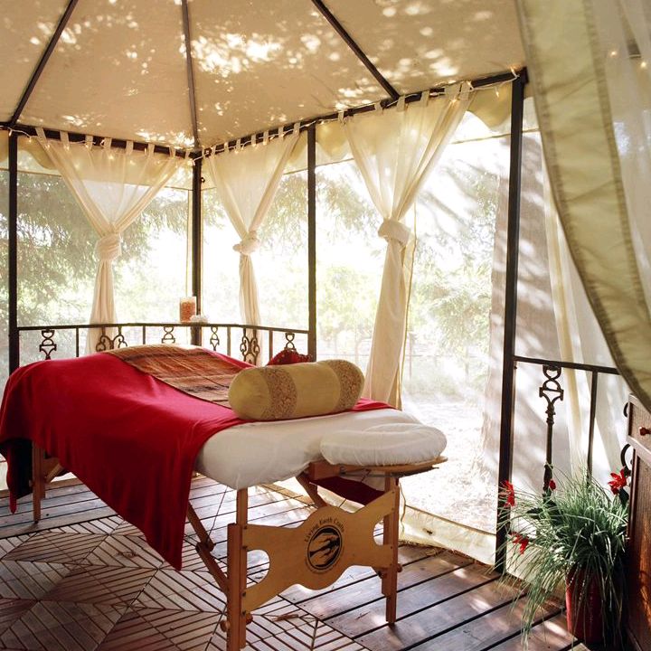 Profile Picture of JanyOConnellLR50680 (@janyoconnelllr50680) on Tiktok