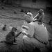 Profile Picture of Daniel Altman (@usaidsac) on Pinterest