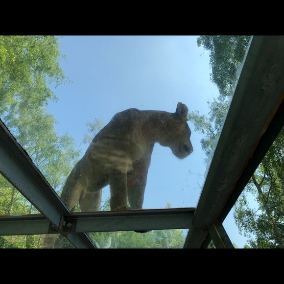 Profile Picture of Tina m. Ladson (@tmsl) on Poshmark