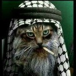 Joseluis Solorzano Lizarazo - Instagram Profile Picture of Joseluis Solorzano Lizarazo (@joseluislizarazo) on Instagram