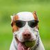 Profile Picture of Mike Casas (@mike.casas.5454) on Facebook