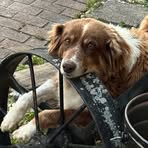 Profile Picture of Lesley McBride (@Lesley-McBride) on Facebook