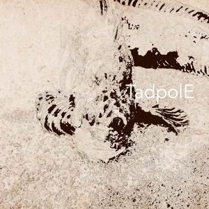 Profile Picture of Tadpole (@52155477) on Myspace