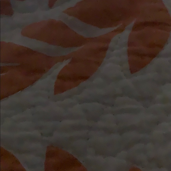 Profile Picture of Ann Mclaughlin (@maileann532) on Poshmark