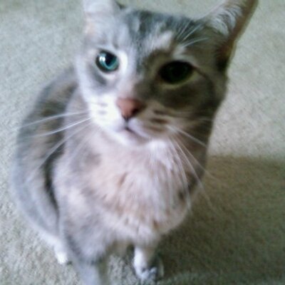 Profile Picture of Skittles Mullins (@SkiddleButt) on Twitter